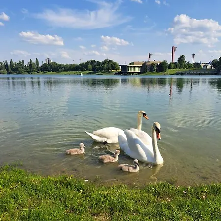 In The Lake 布拉迪斯拉发